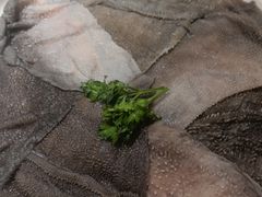 -成渝龙火锅(都江堰店)