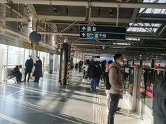 -知春路(地铁站)