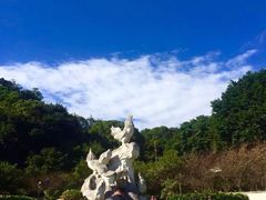 -金鸡山公园