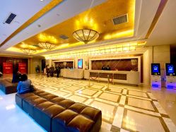 -天泰一站式婚宴·宴会厅