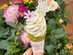 -IL paperino帕帕里诺冰激凌