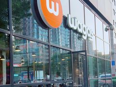 -Wagas沃歌斯(富力广场店)