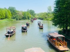 -溱湖国家湿地公园