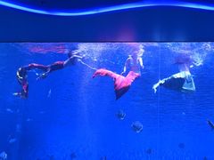 -石家庄极地海洋世界