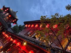 -小龙翻大江文化火锅(宽窄店)