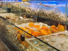 -苏格里岛自助海鲜烤肉火锅(集美万达店)