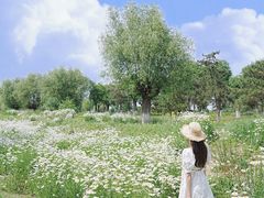 -汉长安城未央宫国家考古遗址公园