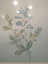 -颜蕾医美·黄金微针·水光·玻尿酸·超声炮·抗衰中心