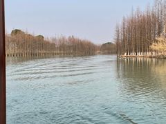 -苏州太湖国家湿地公园