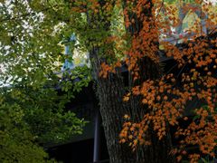 -宁波市保国寺古建筑博物馆