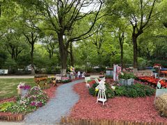 -上海鲜花港
