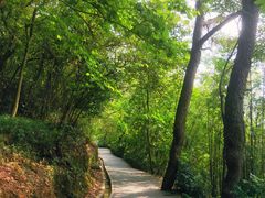 -羚羊峡古栈道森林公园