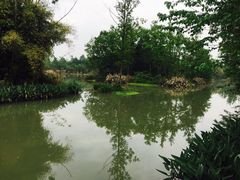 -桤木河湿地公园