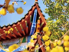 -开福禅寺
