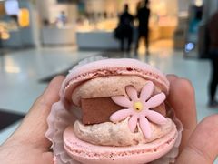 花花半熟马卡龙玫瑰双莓芝士口味-好利来(十里河店)