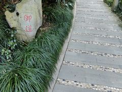 -十八棵（老龙井）御茶园(老龙井店)