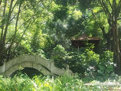 -深圳国际园林花卉博览园