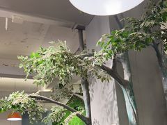 -菌乡缘·野生菌蒸汽鱼火锅(江边夜市店)