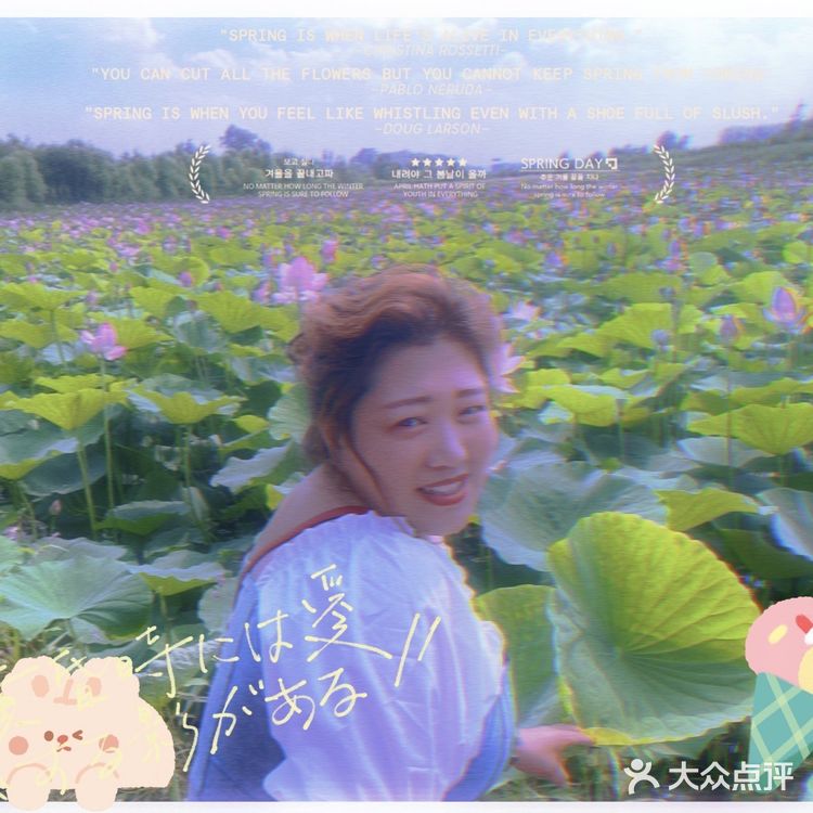 看荷花的好地方！