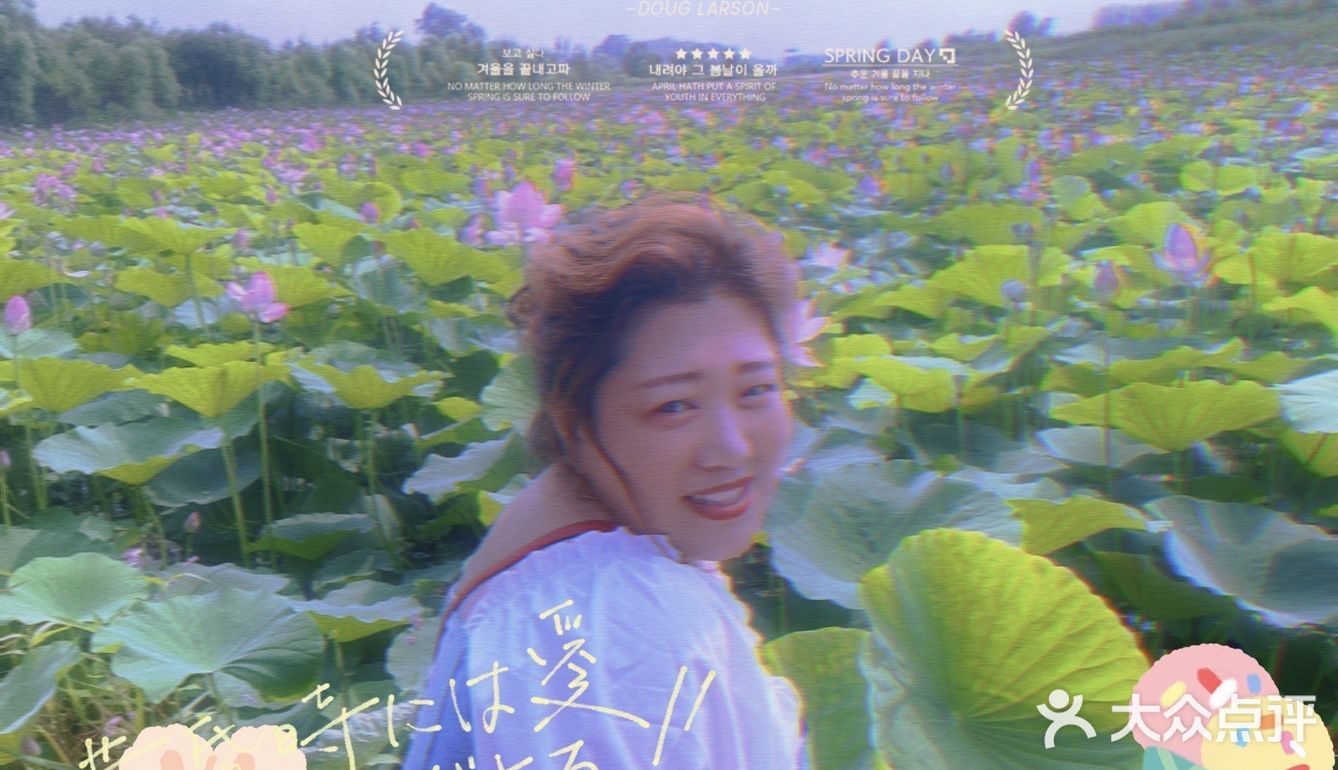 看荷花的好地方！