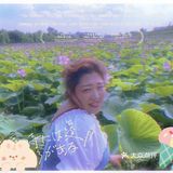 看荷花的好地方！