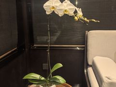 -明湖楼·经典鲁菜山东海鲜(大明湖店)