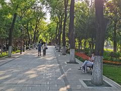 -莲湖公园