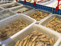 -海立阁海鲜江浙菜(漕河泾印象城店)