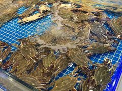 -驻海渔市(置信店)