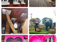 -西安电影制片厂