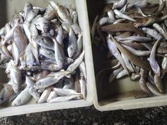 -登州市场(登州路店)