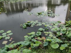 -南通濠河风景名胜区