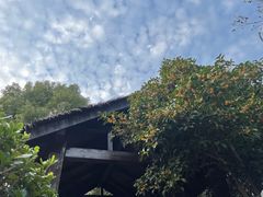 -天屿湖