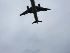 -空港花田景区