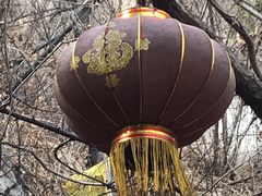 -白水寺森林公园