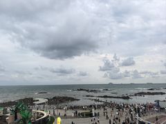 -海合安青岛极地海洋公园