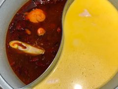 -青瓷火锅料理(西单大悦城店)