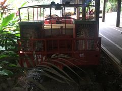-热带雨林自然公园