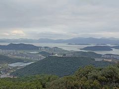 -黄贤森林公园