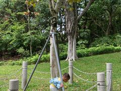 -深圳国际园林花卉博览园