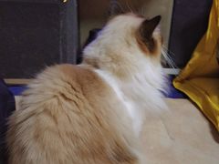 -零纪元VR体验馆·桌游(黄浦店)