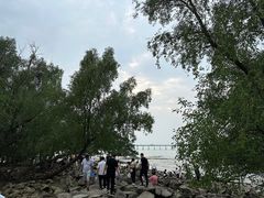 -宝安西湾红树林湿地公园