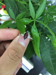 -威德钻石-克拉钻大本营(南京东路店)