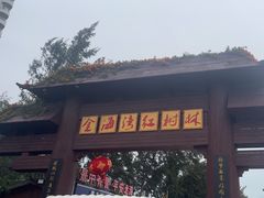 -北海金海湾红树林生态旅游区