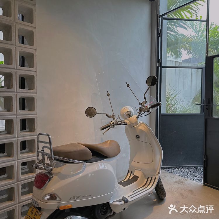 在室内大树旁边喝咖啡☕～自带热带花园的veins绿植咖啡店