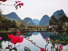 -靖西鹅泉风景区