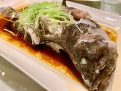 -凤城礼记鱼翅海鲜酒家(百老汇店)