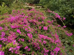 景点-白沙门生态公园