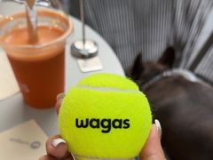 -Wagas沃歌斯(大学路店)