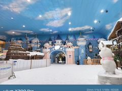 -世界之窗阿尔卑斯冰雪世界